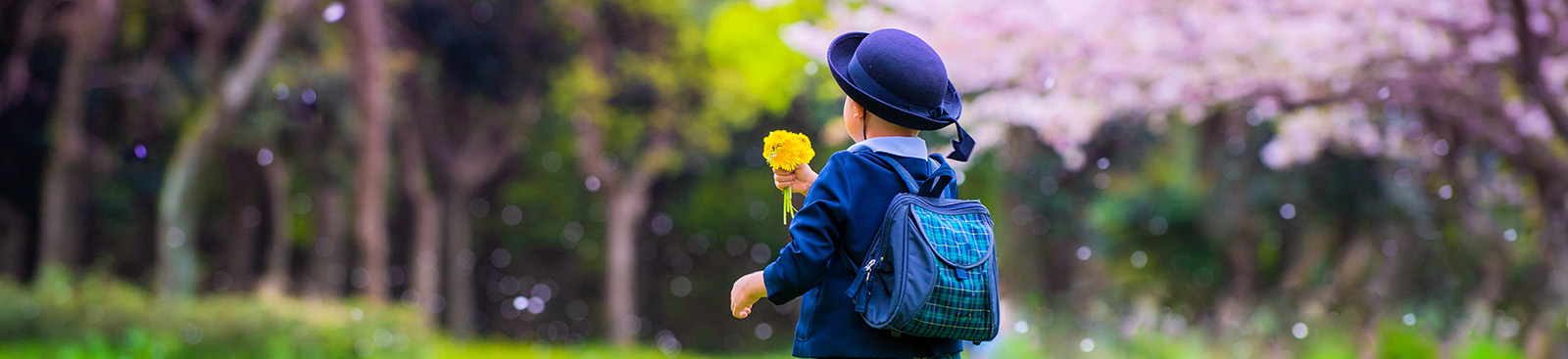 桜の木と男の子の写真