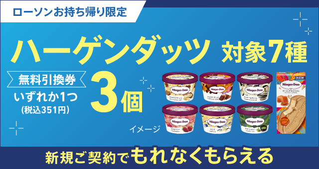 新規ご契約でハーゲンダッツ×3個がもれなくもらえる