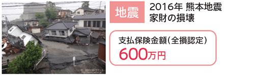 地震 2016年 熊本地震 家財の損壊 支払保険金額（全損認定） 600万円
