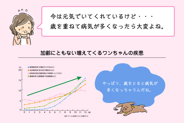 今は元気でいてくれているけど・・・歳を重ねて病気が多くなったら大変よね。加齢にともない増えてくるワンちゃんの疾患　やっぱり、歳をとると病気が多くなっちゃうんだね。