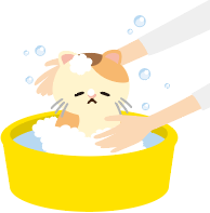 治療のため洗われる猫のイラスト