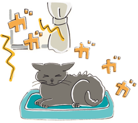 外から聞こえる騒音にストレスを感じる猫