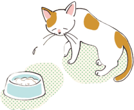 食欲不振になっている猫