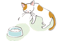 食欲不振になっている猫