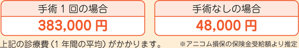手術1回の場合383,000円/手術なしの場合48,000円