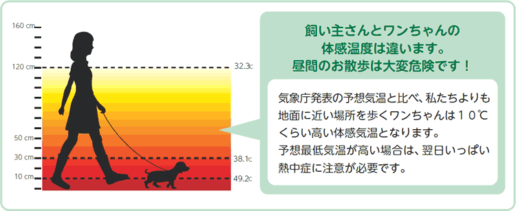 飼い主さんとワンちゃんの体感温度の差のグラフ