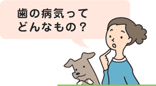 歯の病気ってどんなもの?