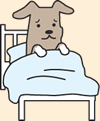 入院してる犬のイメージ