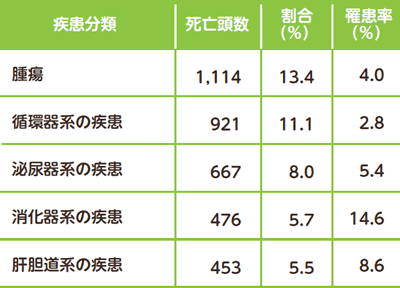 犬の死亡原因ランキング