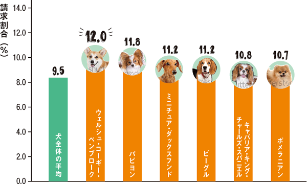 筋肉・骨格の病気になりやすい犬種の図