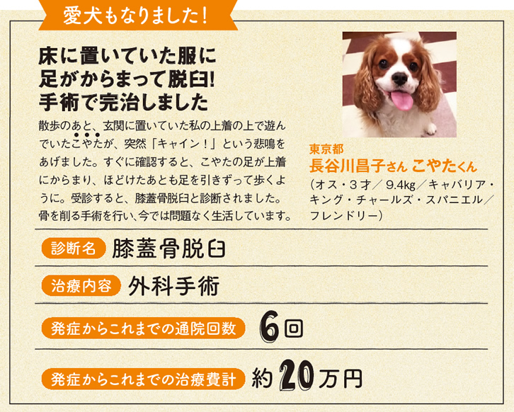愛犬もなりました!