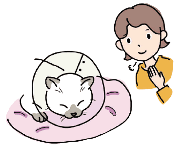 術後は…抜糸がすむまでなるべく安静にのイメージ