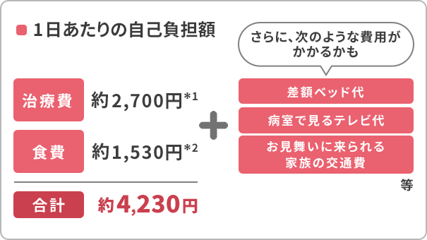1日あたりの自己負担額